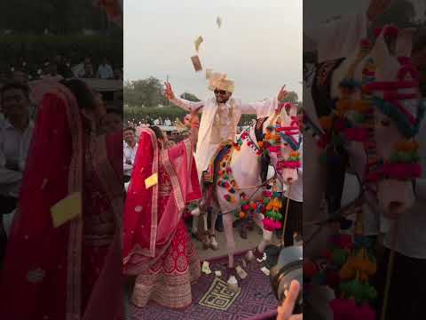 Wedding Dance | Wedding Entry | Bride & Groom | #wedding #bride #groom #royalwedding #weddingdance