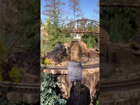 华府的植物园展 / Display in United States Botanic Garden