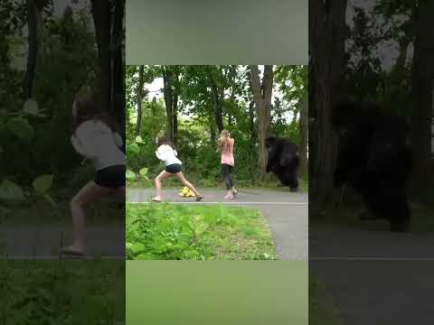 Wild Gorilla Prank: Epic Faceplant in the Name of Banana Protection