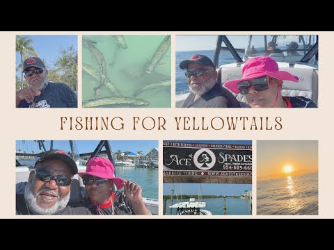 NIGHT FISHING FOR YELLOWTAIL FISH #fypyoutube #fishing #yellowtail #snapperfish #keywest