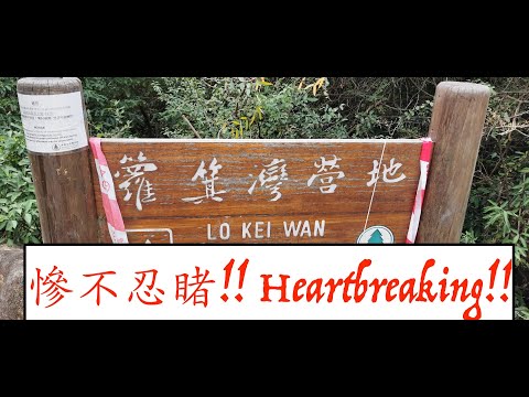 籮箕灣營地 | Lo Kei Wan Campsite - 請好好保護我們的郊野公園!!!