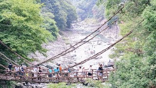 四國 Shikoku | 祖谷溪葛藤橋