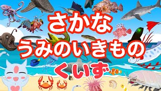 海の生き物2択クイズだよー！