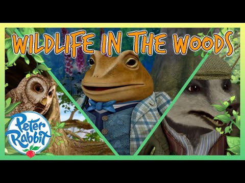 @OfficialPeterRabbit - 🦉🦡🦊 Wildlife in the Woods! 🦊🦡🦉  | 20+ Mins | Cartoon for Kids