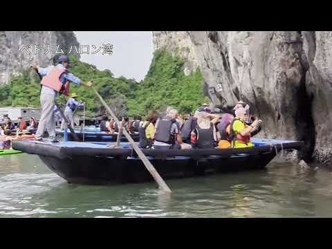 Halong Bay Cruises   　ハロン湾クルーズ