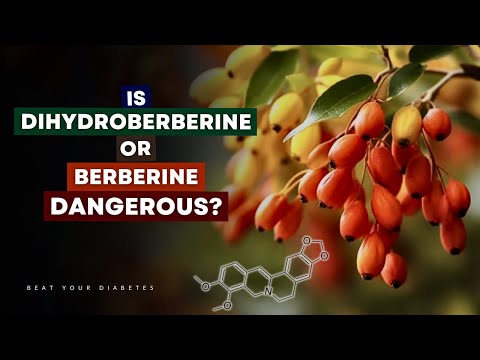 The Unexpected Side Effects of Berberine (Must Watch)