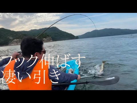 クエをルアーで狙うと凄い引きでフックとスプリットリング伸ばす魚が釣れた