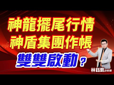 中視【股林高手】20241223#林鈺凱：神龍擺尾行情 神盾集團作帳 雙雙啟動？#中視新聞 #股林高手