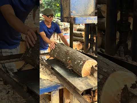 Wood cutting #shortvideo #wood #woodworking #machine #woodcarving #woodindustry