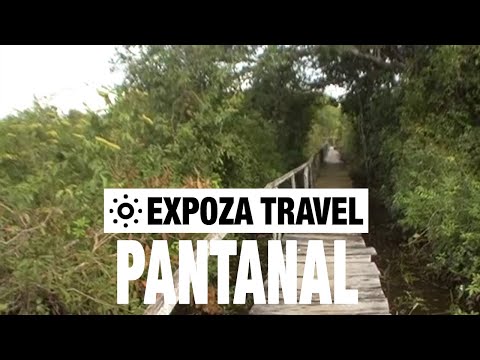 Pantanal (Paraguay) Vacation Travel Video Guide