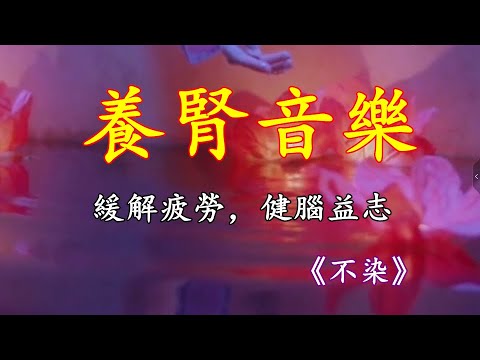 古琴音藥丨緩解疲勞，健腦明志，古琴版《不染》空靈清幽！