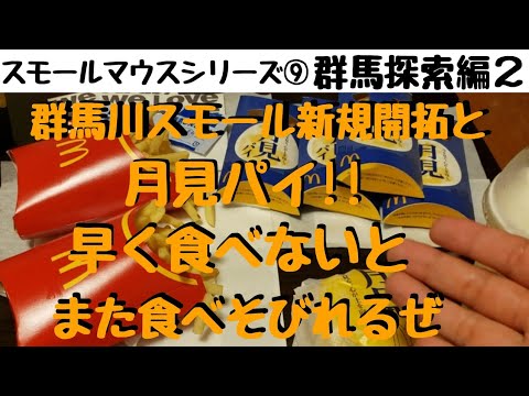 【川スモールマウスバス釣り　シリーズ⑨　群馬探索編】飯テロ!!マクドナルドの濃厚ふわとろ月見バーガーと月見パイが旨すぎな件!!　smallmouth bass　McDonald's