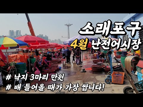 소래포구 난전어시장 4월 수산물 종류, 가격 Sorae Korea Fish Market