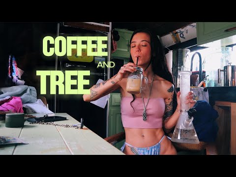 COFFEE AND TREE : Lord Mandrake Gardens