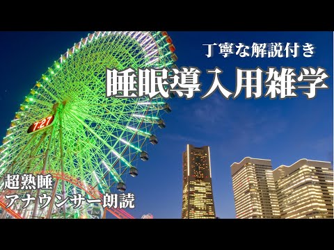 【睡眠導入用】【雑学】(解説付き) 【横浜】【夜景】美しい映像とともに