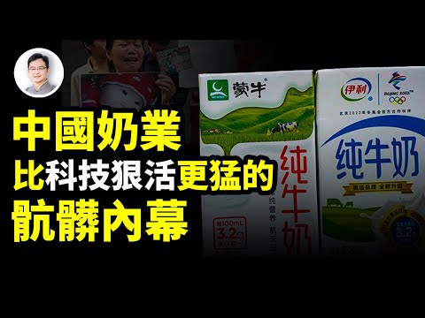 你以為中國奶業霸主背後，只有「科技與狠活兒」嗎？想簡單了！真相更為驚悚與骯髒！【文昭思緒飛揚333期】