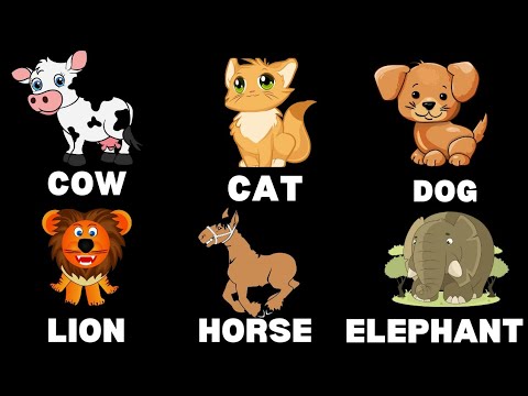 Animals Name In English| Learn about Animals Name| Kids Educational videos| Kindergarten kids video