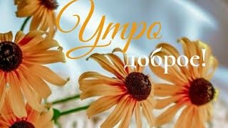 Хороших выходных...Доброе утро 🌝💛