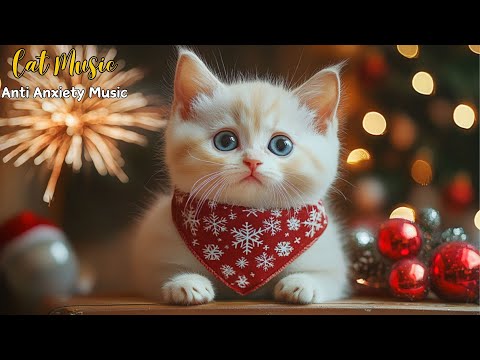 Happy Cats & Calm Holidays: Christmas Music to Help Your Cat Sleep Better & Feel Relaxed 🎄