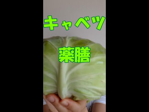 キャベツで薬膳 食欲不振 胃もたれ 胃痛  健康維持 ＃Shorts