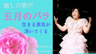 五月のバラ🌹〜バラの季節に懐かしの名曲を〜癒しの歌声を聴いて生きる勇気が湧いてくる