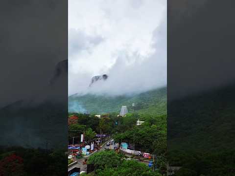 The Beauty of Tirumala Hills #tirumala #tirupati #nature #temple #nirvikalpayatra #7hills #shorts