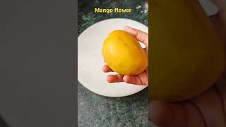 mango flower kese banaye #shortvideo #shortsfeeds #shortsfeed2024 #mangolovers