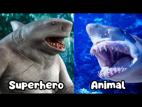 Animal-Inspired Superheroes | Superheroes Characters In Real Life for Kids Learning and Exploring