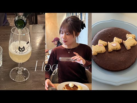 vlog.バレンタインです🍫🪄.numberAでランチ.ルキャバレ.YSL beauty.Salomon👟