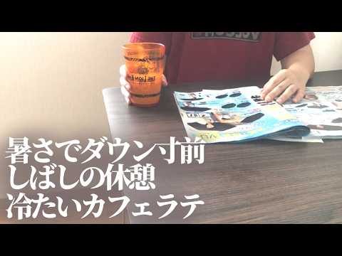 [子なし専業主婦]平日の家事/夏の暑い日のアイロン掛けは地獄