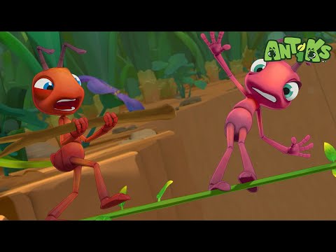 High-Wire Challenge! | Antiks 🐜 | Funny Cartoons for Kids