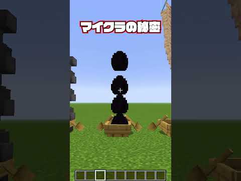 マイクラの秘密3🤫