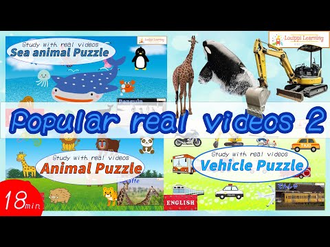 [ English ] Sea animals Animals Vehicles Insects moving live-action video Puzzle medley ２ For kids