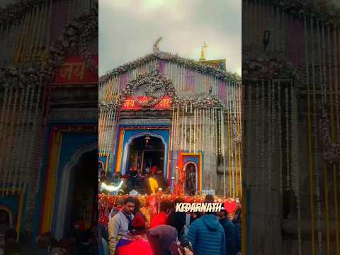 #kedarnathtemple #kedarnath #mhakal #mahadeva #uttarakhand #shorts #ytshort #shorts