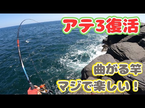 【東伊豆攻略】修理から帰ってきたがまかつアテンダー３でメジナを狙え！釣果を刺身で頂いたらめちゃうまかった。