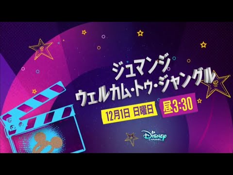 Disney Channel Japan - Continuity (November 28, 2024)