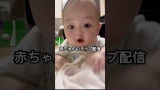 大人気赤ちゃんのライブ配信 #baby #babyshorts #赤ちゃんのいる生活 #赤ちゃん #ライブ #生配信