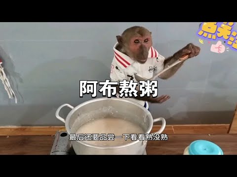 有一只猴子叫阿布，卖菜买菜做饭，你想有一只这样的猴子吗？