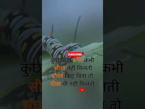 kuchh kiae begar Sikh nhi.||#shorts_ #ternding #motivationalstatus #shortsyoutube #mk motivation 3.0