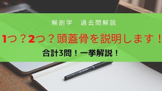 国家試験対策！【鍼灸解剖学編】頭蓋骨はここを覚えよう！