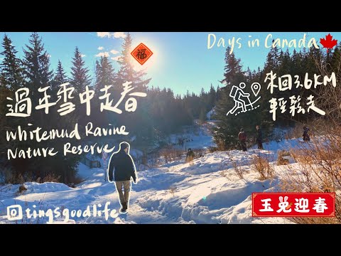 Vlog｜Days in Canada 🇨🇦no.4｜大年初一在雪地裡走春、在結冰的河上走會落水嗎？Whitemud Ravine Nature Reserve、第一次走進城市中的森林