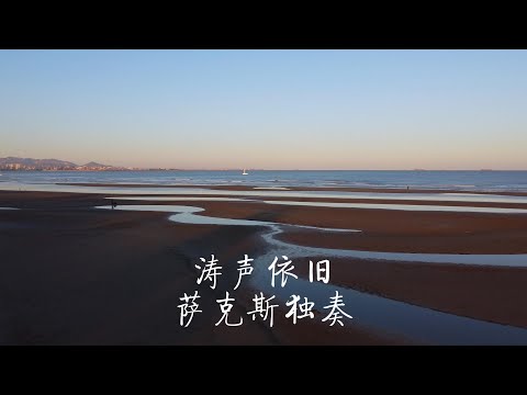 《涛声依旧》老歌怀旧金曲次中音萨克斯独奏Saxophone Cover