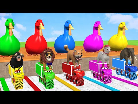 5 Giant Duck Cartoon,Cow,Mammoth,Dog,T-Rex,Lion,Tiger Paint Wild Animals Crossing Fountain Animation