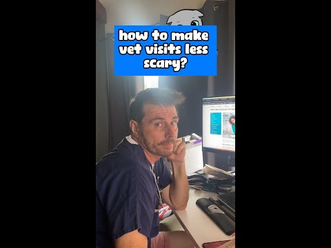 Dr Evan - Your cats telling you this about the Vets... 🐱