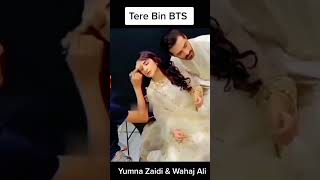 tere bin ep 17 #shorts #viral #harpalgeo #humtv #wahajali #yumnazaidi #celebrity #paksitanidrama