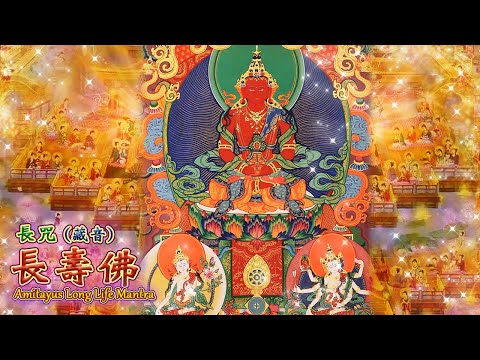 【長壽佛長咒~藏音版】 🌸The Tibetan long mantra of Amitayus 💐 無生無滅量壽，無量莊嚴長壽佛；吾等至心皈命禮，願等虛空無量壽！！🙏🙏🙏