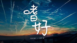 顏人中 《嗜好》 (Cover by ZY.K || 男聲版)【治不好 想念你的嗜好再多時光 都徒勞有誰能替代 你給的懷抱】【動態歌詞Lyrics】