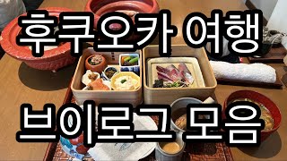 나 혼자 🇯🇵후쿠오카 여행 브이로그 모음집, 로바타노이토오카시, 스시사카바 사시스, 링고 애플파이, 아맘다코탄, 재즈클럷 백스테이지, 사바타로 등등