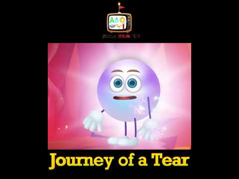 Journey of a tear