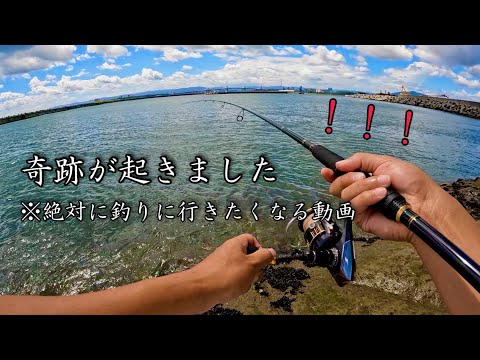 【奇跡】まさかの高級魚に唖然••福島の海が大変なことになっています。いわき釣り。